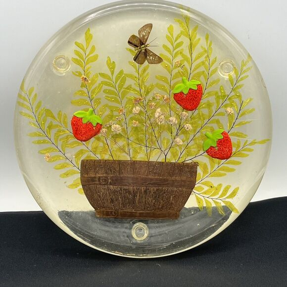 Vintage Lucite Trivet Strawberries Design Gifts International 8” - Picture 1 of 14